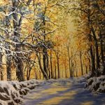 Forest Light