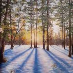 Snowy Forest Shadows