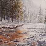 Winter Forest Stream