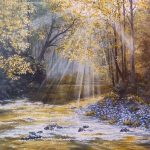 Sunlight Forest Path